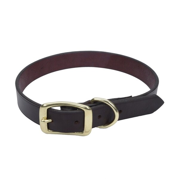 Latigo Leather Town Dog Collar with Solid Brass Hardware 3/4 in 18